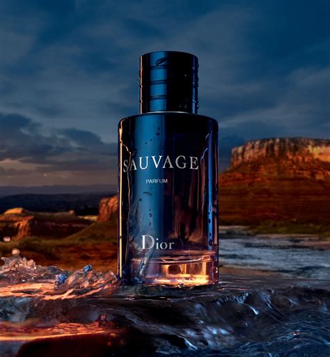 action bronson christian dior sauvage|sauvage Dior fragrance.